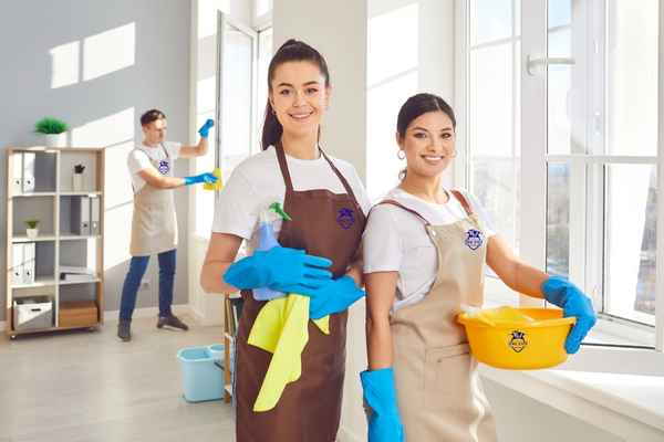 Full Independent Home / Banglow Cleaning